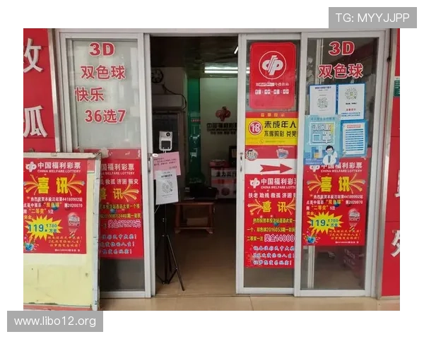 3378彩票网深度解析：如何在此平台安全参与彩票并规避风险？